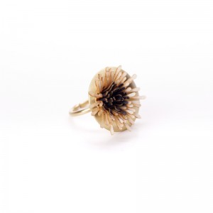 Anillo cápsula Anémona crudo Anillo cápsula Anémona crudo